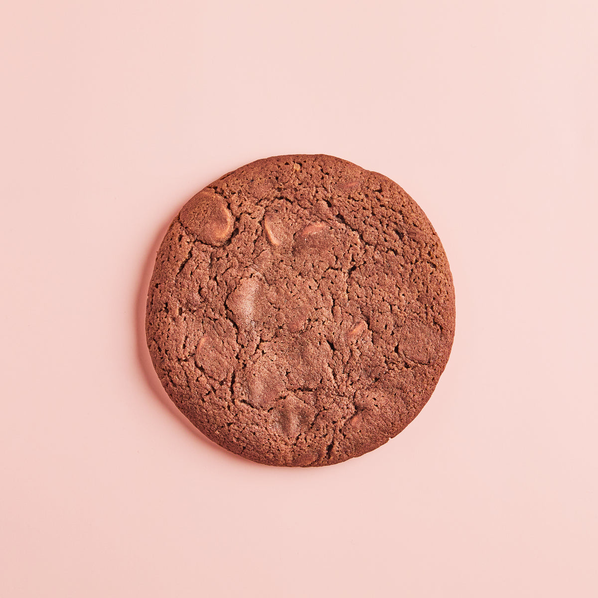 Chewy Milk Chocolate Cookie